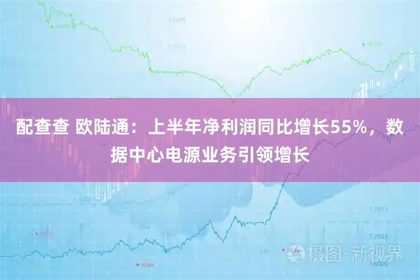 配查查 欧陆通：上半年净利润同比增长55%，数据中心电源业务引领增长